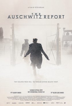 Cartel de El Informe Auschwitz