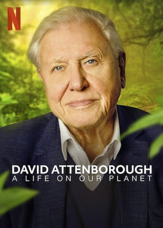 Cartel de David Attenborough: Una vida en nuestro planeta - Reino Unido