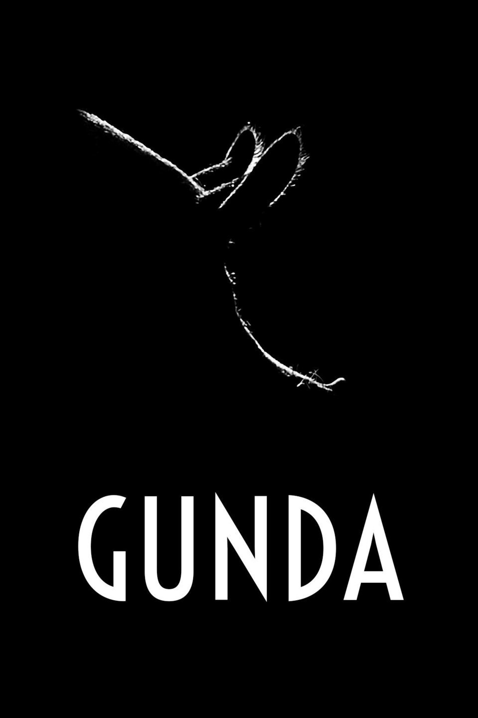 Cartel de Gunda - España