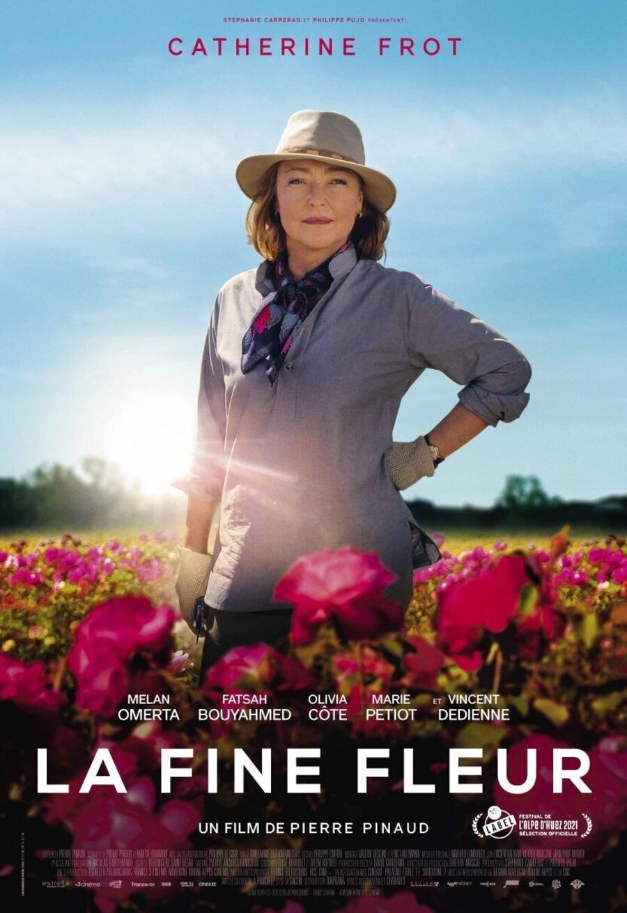 Cartel de Entre rosas - Francia