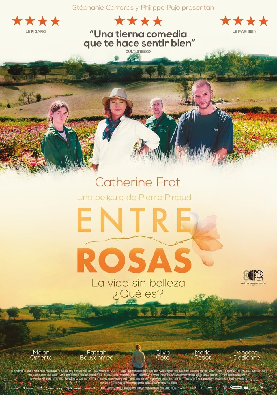 Cartel de Entre rosas - España