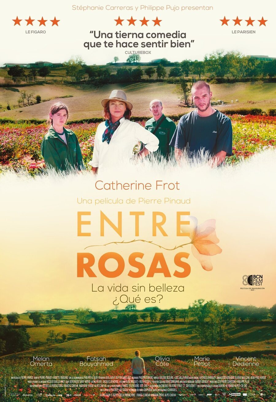 Cartel de Entre rosas - España