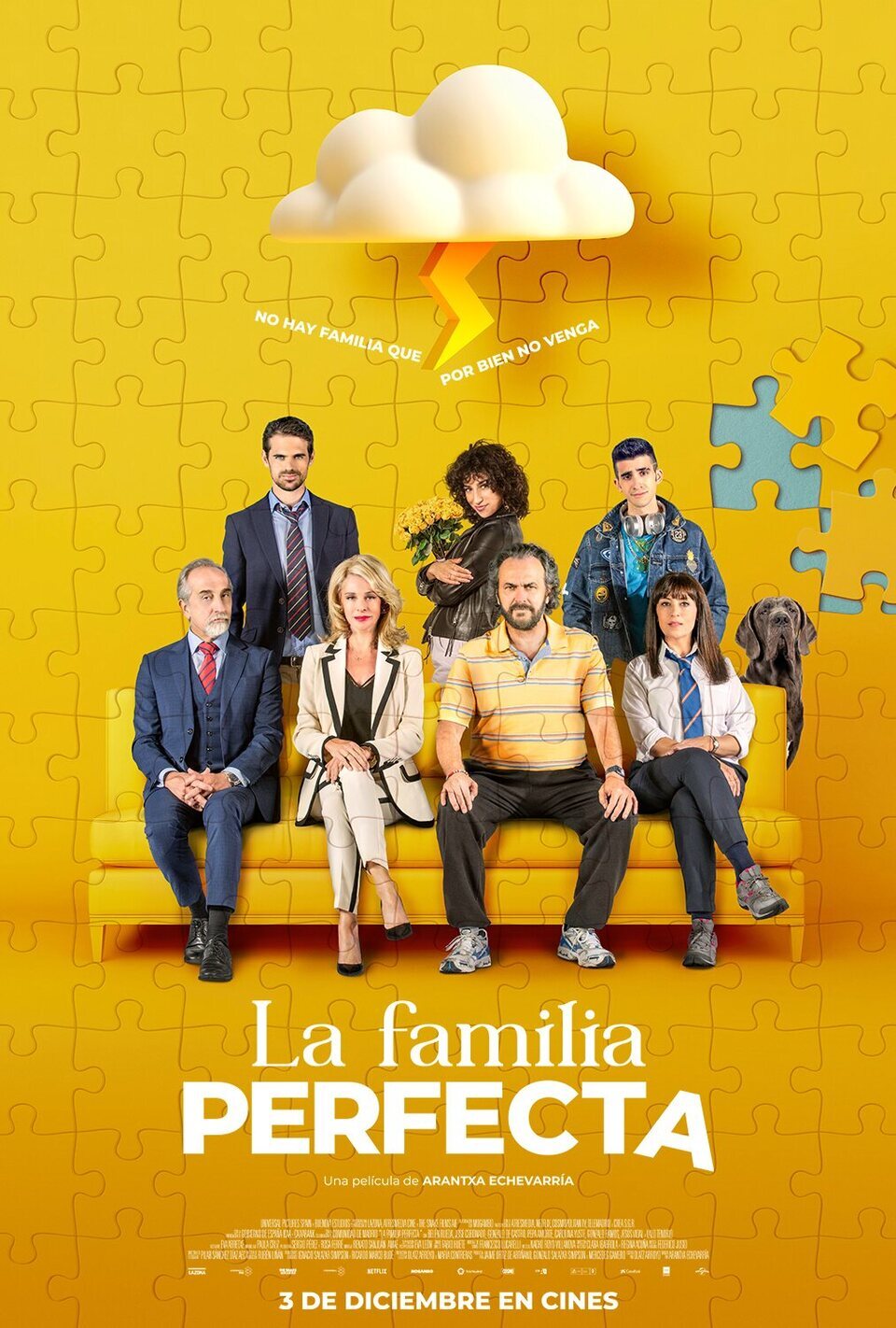 Cartel de La familia perfecta - Español