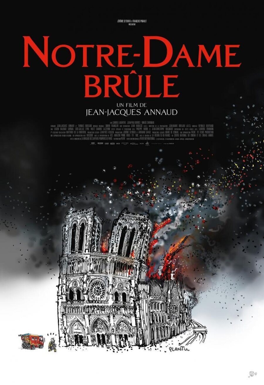 Cartel de Arde Notre Dame - Francia