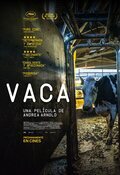 Vaca