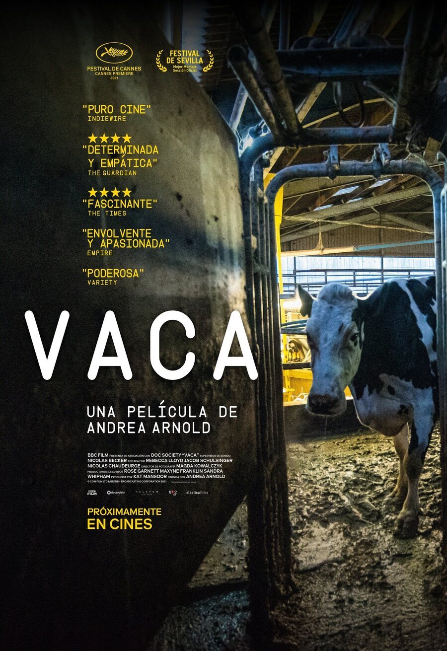 Cartel de Vaca - España