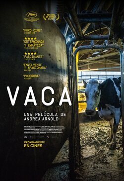 Cartel de Vaca