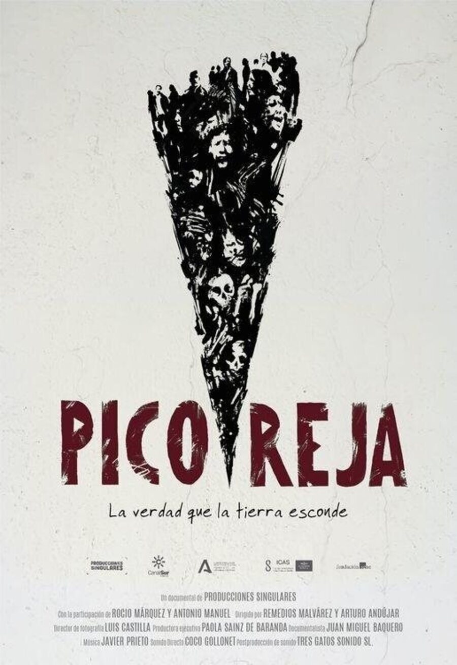 Cartel de Pico Reja, la verdad que la tierra esconde - Pico reja, la verdad que la tierra esconde