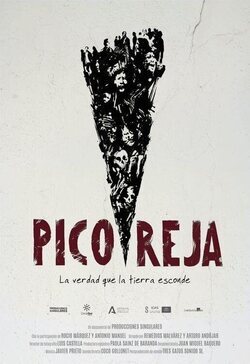 Cartel de Pico Reja, la verdad que la tierra esconde