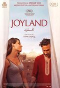 Cartel de Joyland