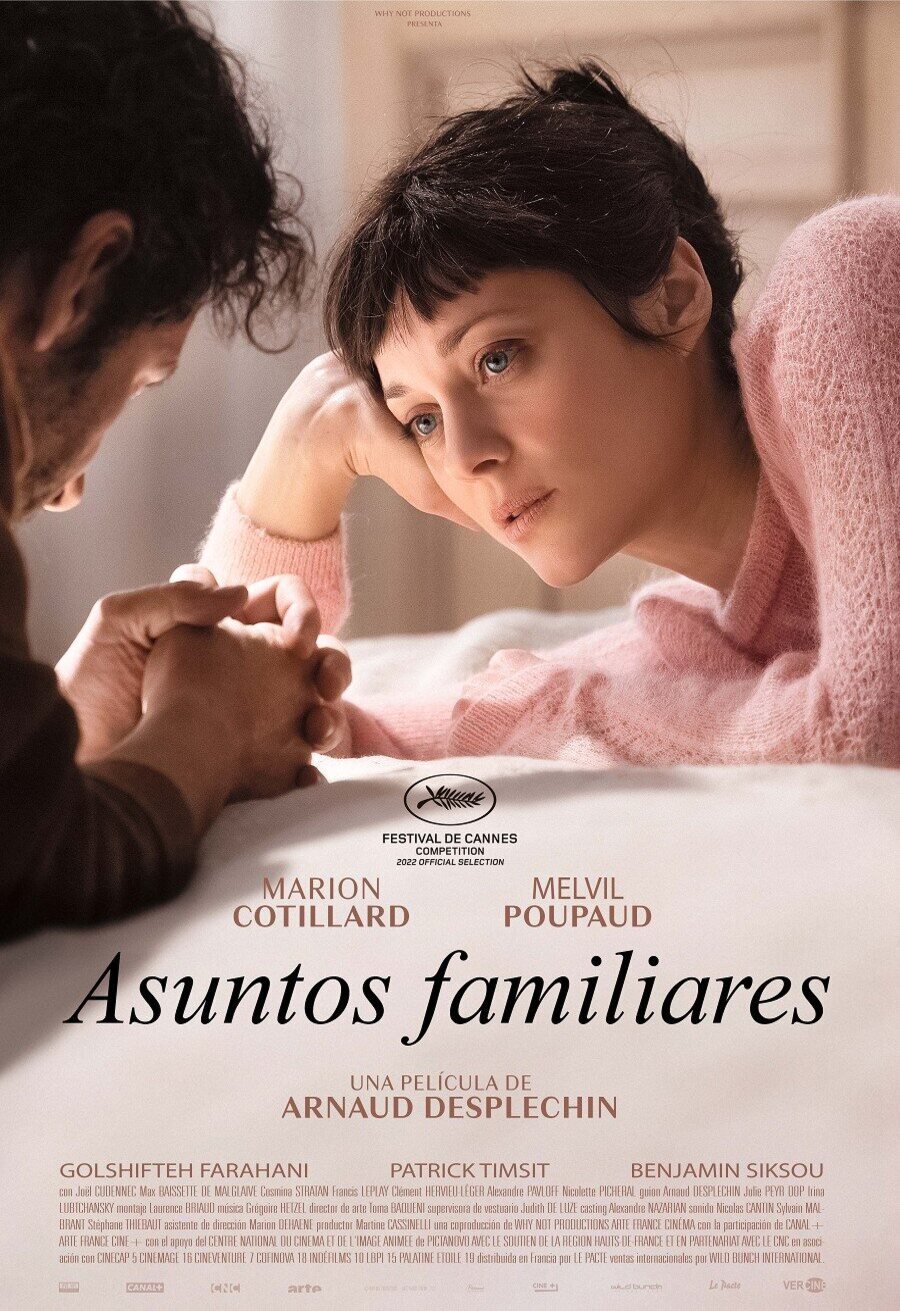 Cartel de Asuntos familiares - España