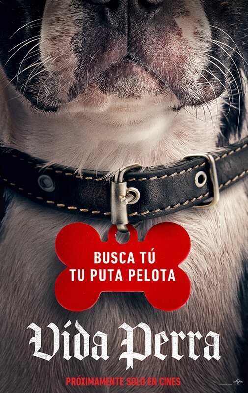 Cartel de Vida perra - Cartel español