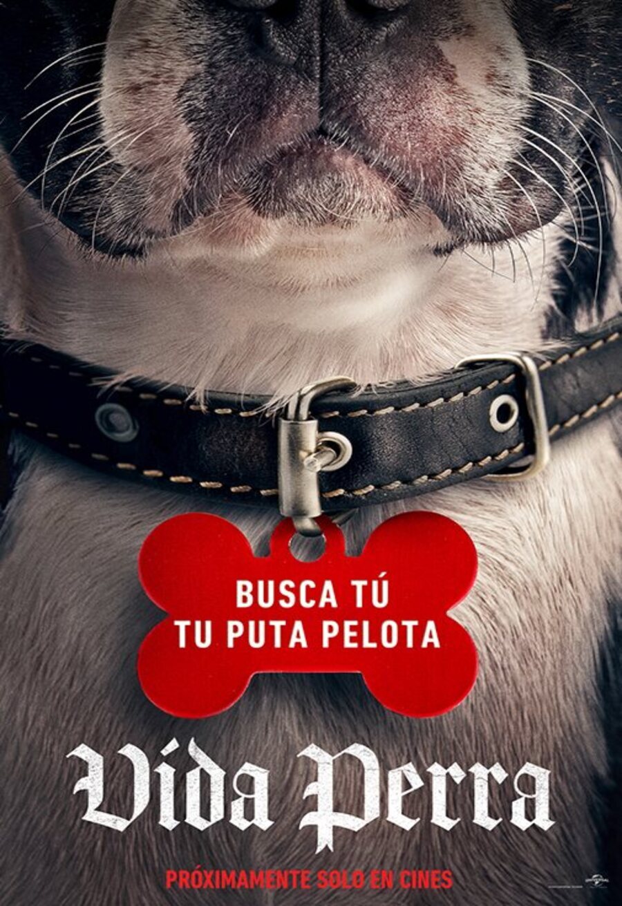 Cartel español Cartel de Vida perra (2023) eCartelera