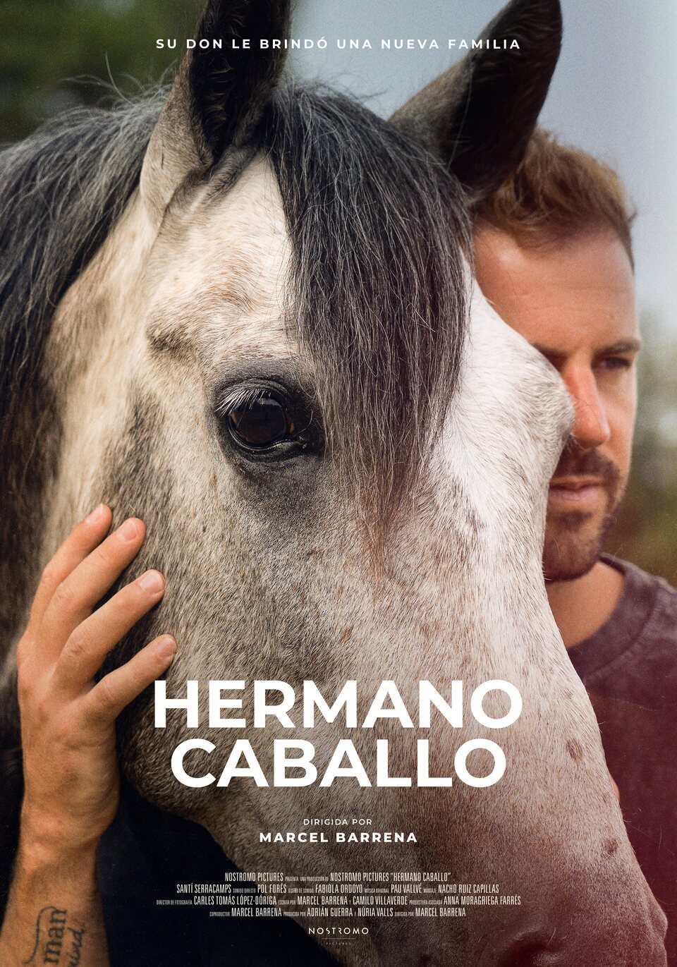 Cartel de Hermano caballo - España