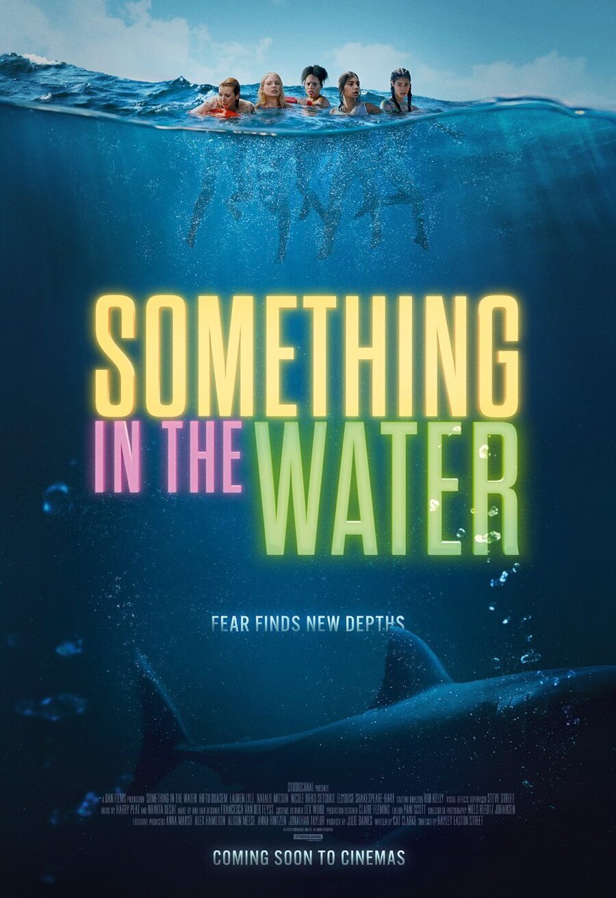 Cartel de Something in the Water - Cartel original