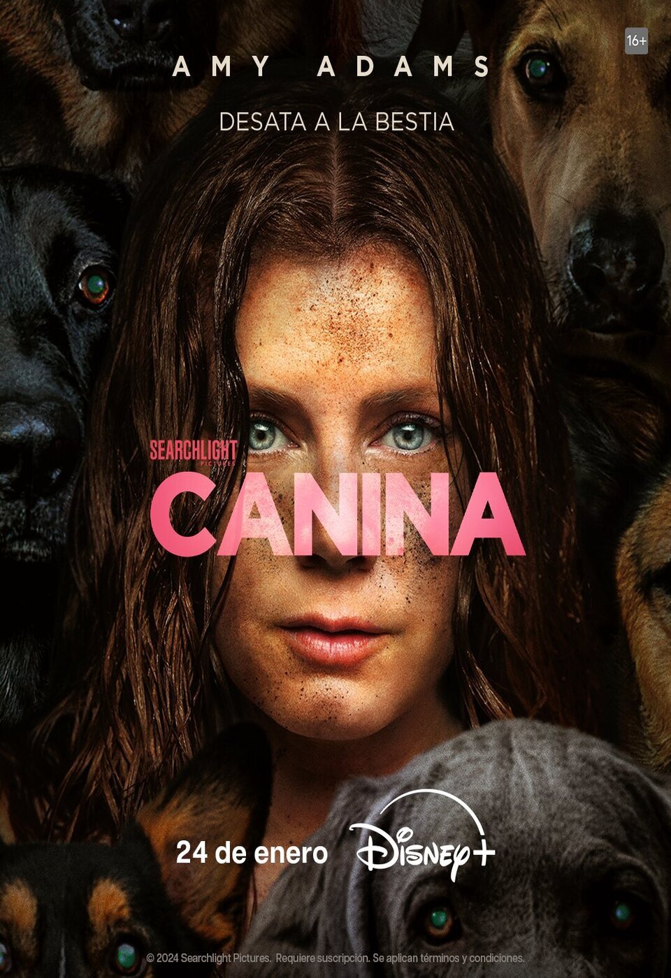 Cartel de Canina - España