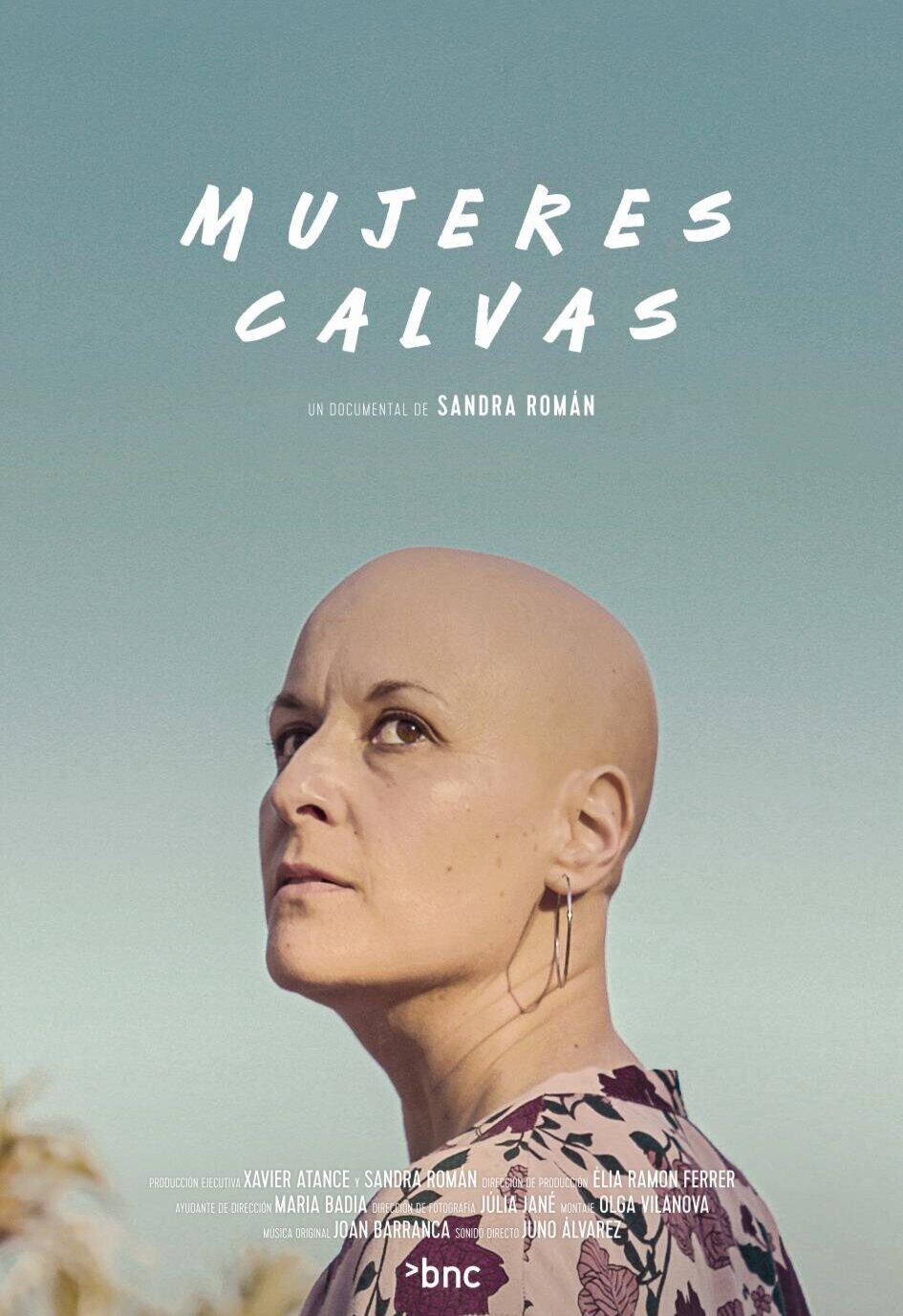 Cartel de Mujeres calvas - Póster