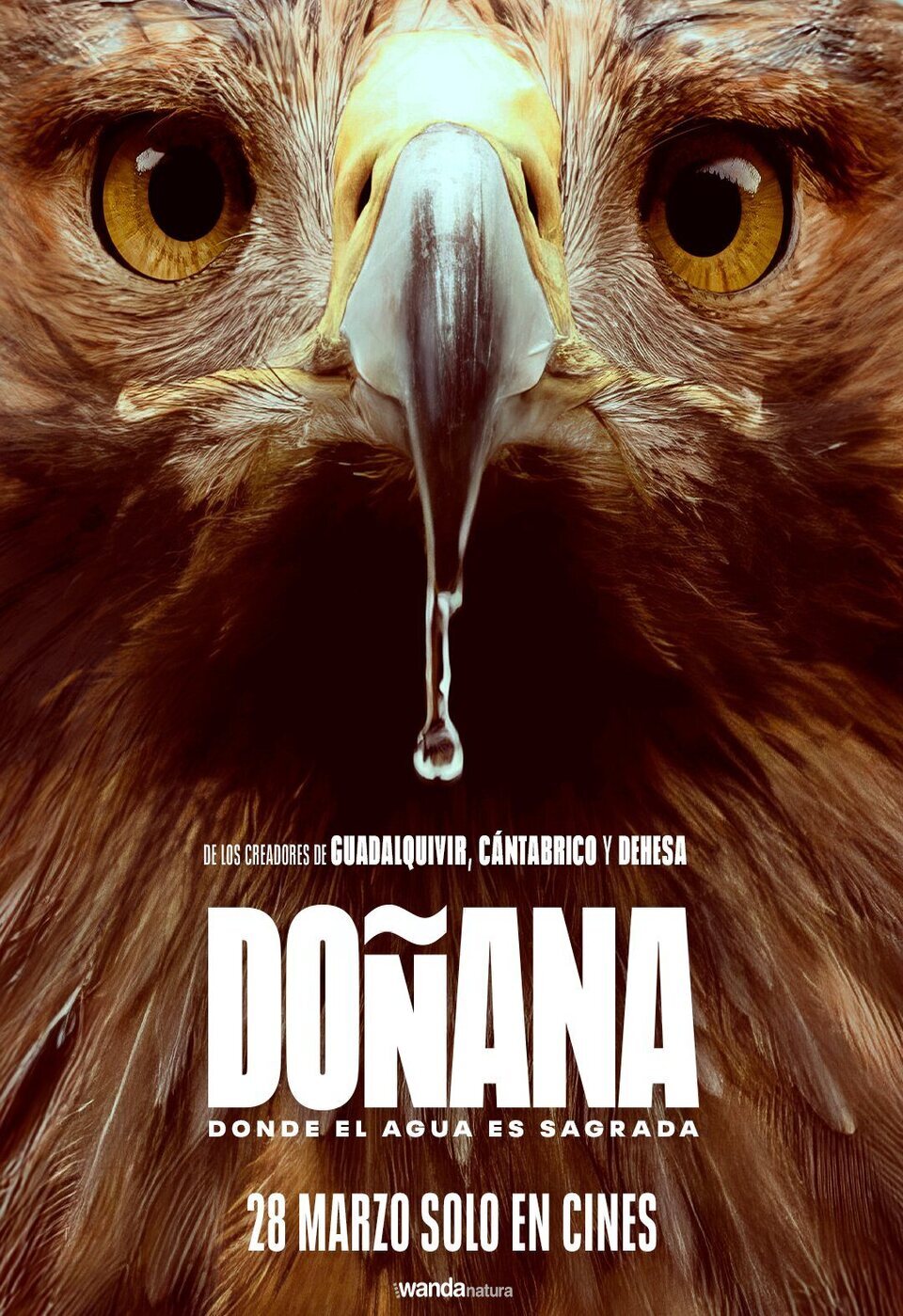 Cartel de Doñana: donde el agua es sagrada - Póster