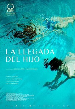 Cartel de La llegada del hijo