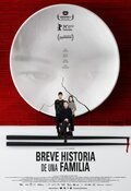 Cartel de Breve historia de una familia