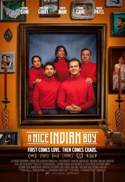 Cartel de A Nice Indian Boy