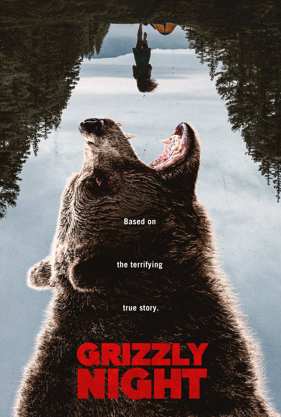 Cartel de Grizzly Night - 
