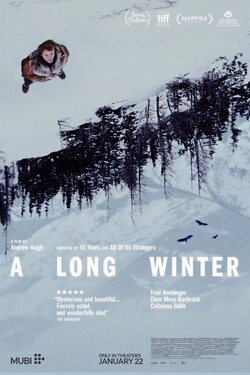 Cartel de A Long Winter