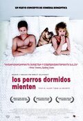 Cartel de Los perros dormidos mienten