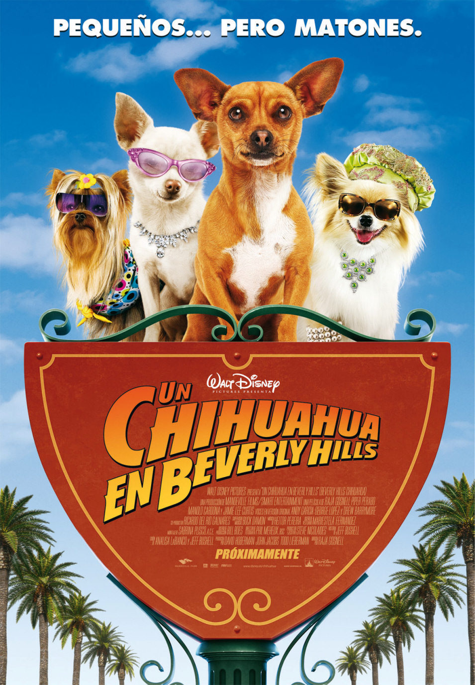 Cartel de Un Chihuahua en Beverly Hills - España