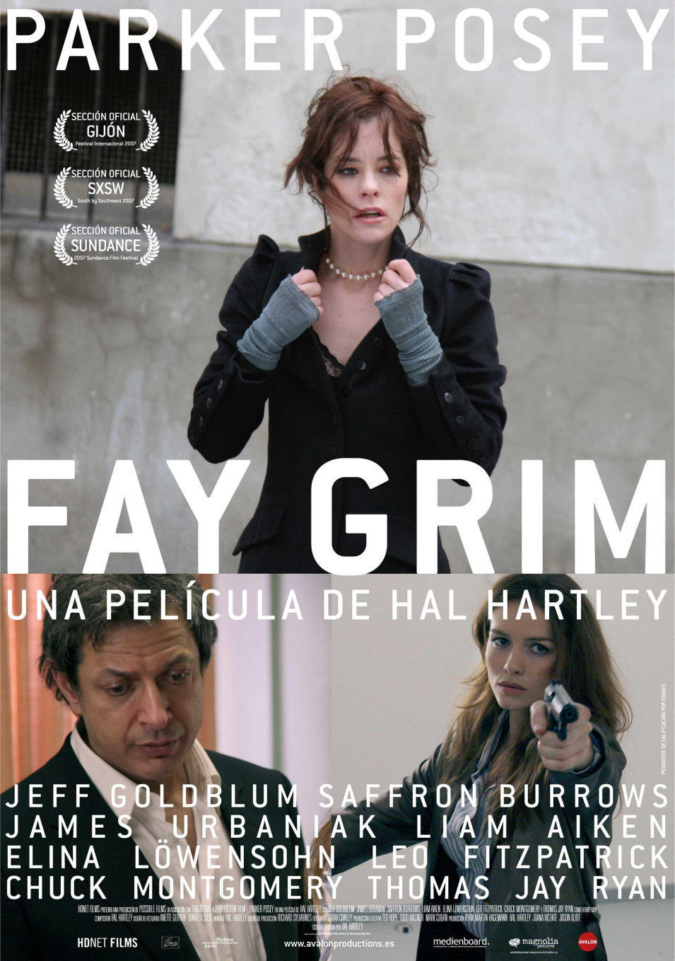 Cartel de Fay Grim - España