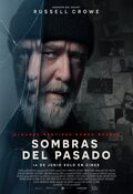 Cartel de Sombras del pasado (Sleeping Dogs)