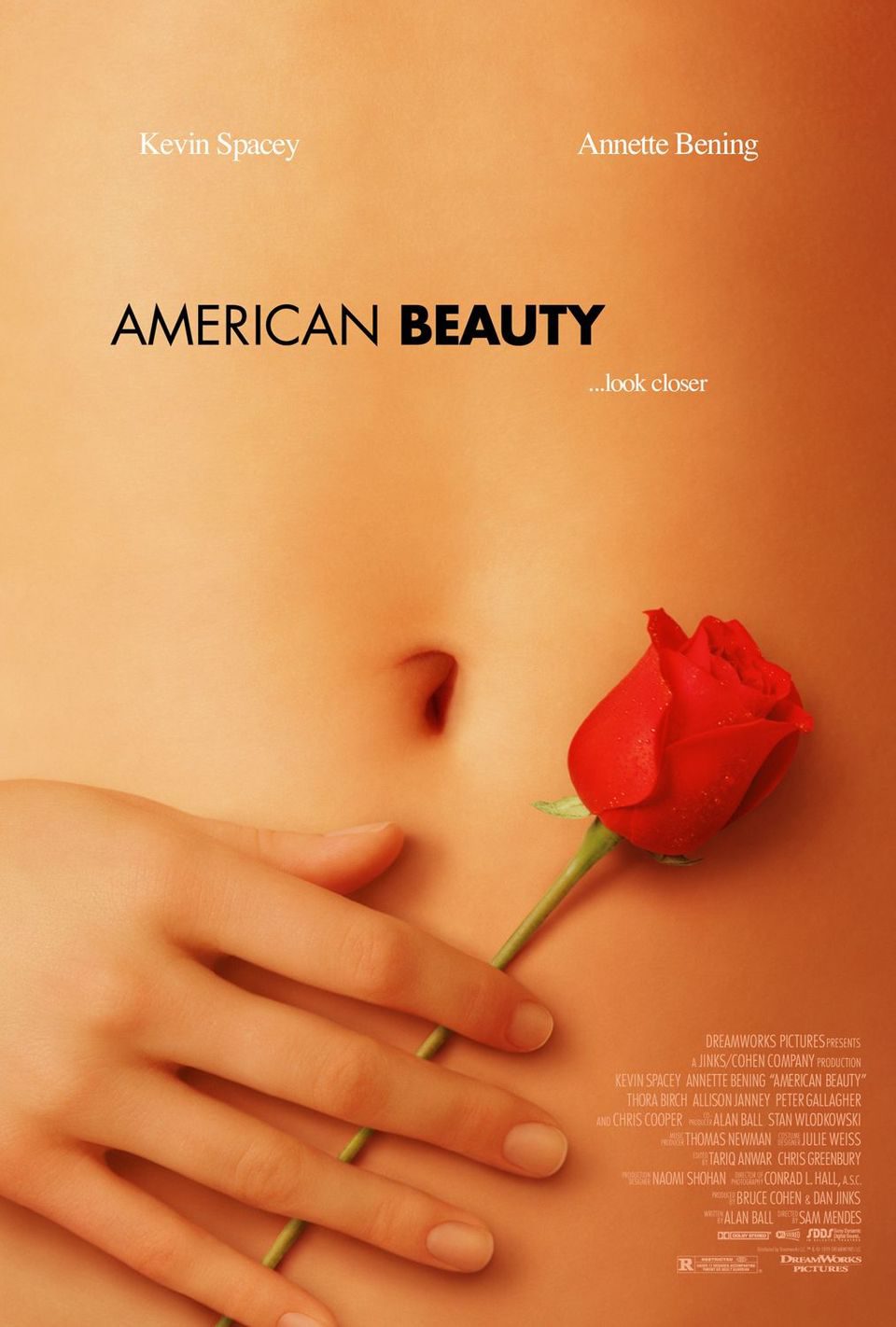 Cartel de American Beauty - EEUU
