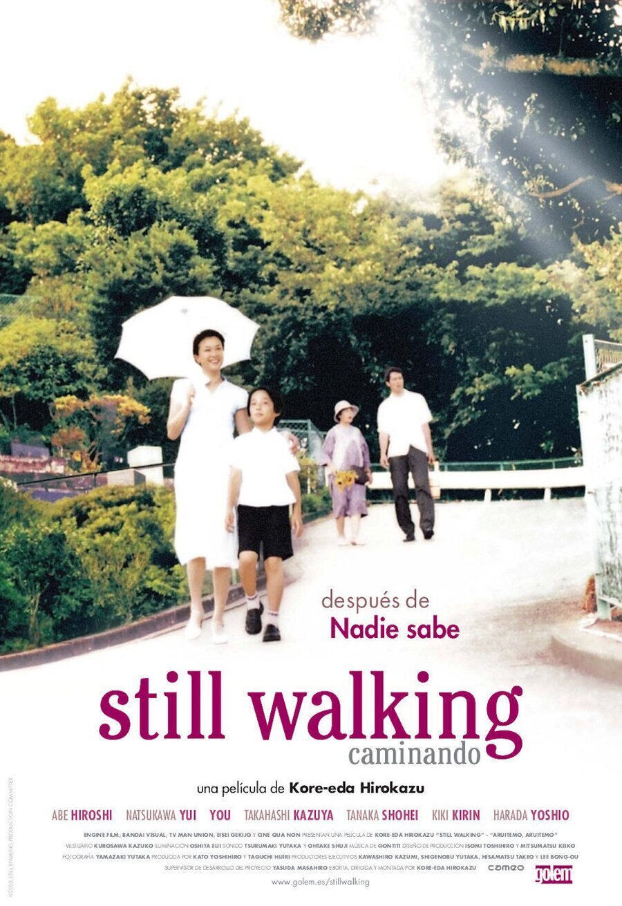 Cartel de Still Walking - España