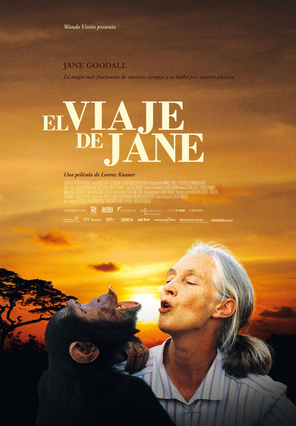 Cartel de El viaje de Jane - España