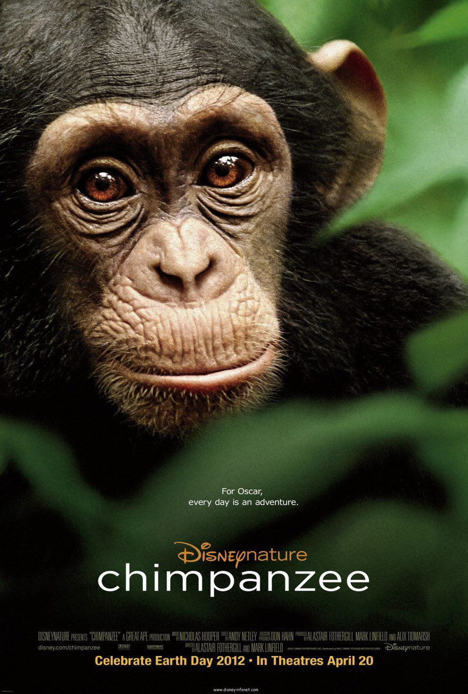Cartel de Chimpanzee - EEUU