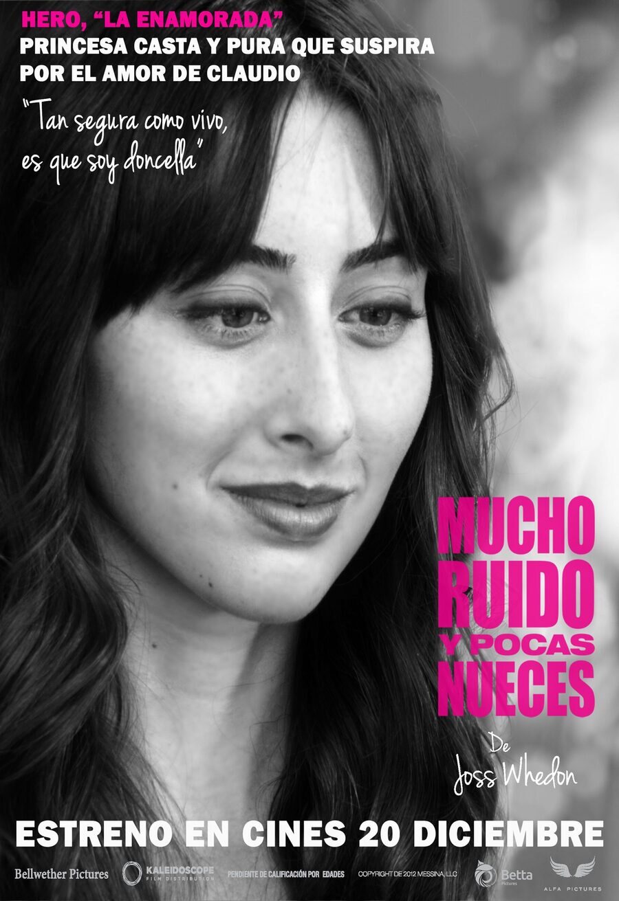 Cartel de Mucho ruido y pocas nueces - Hero
