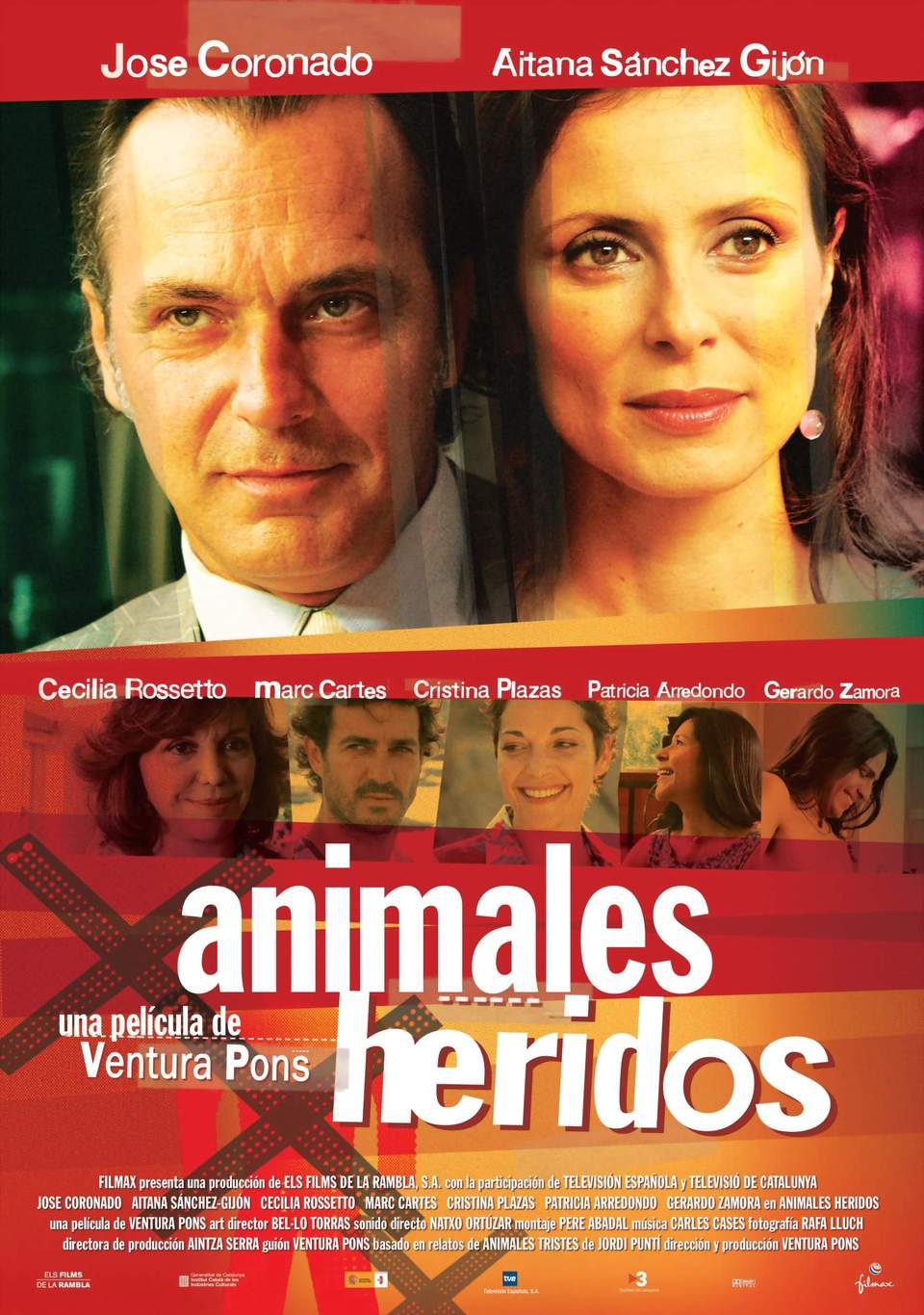 Cartel de Animales heridos - España