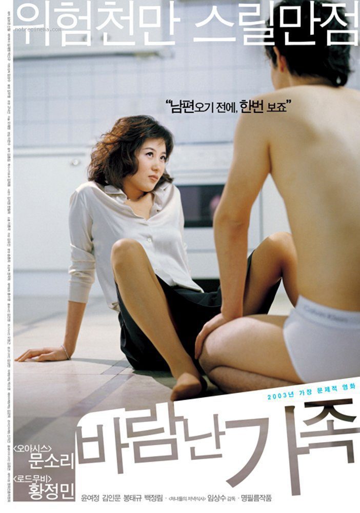 Cartel de La mujer del buen abogado - Corea del Sur