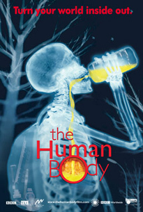 Cartel de El cuerpo humano - Estados Unidos