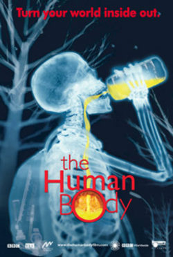 Cartel de El cuerpo humano