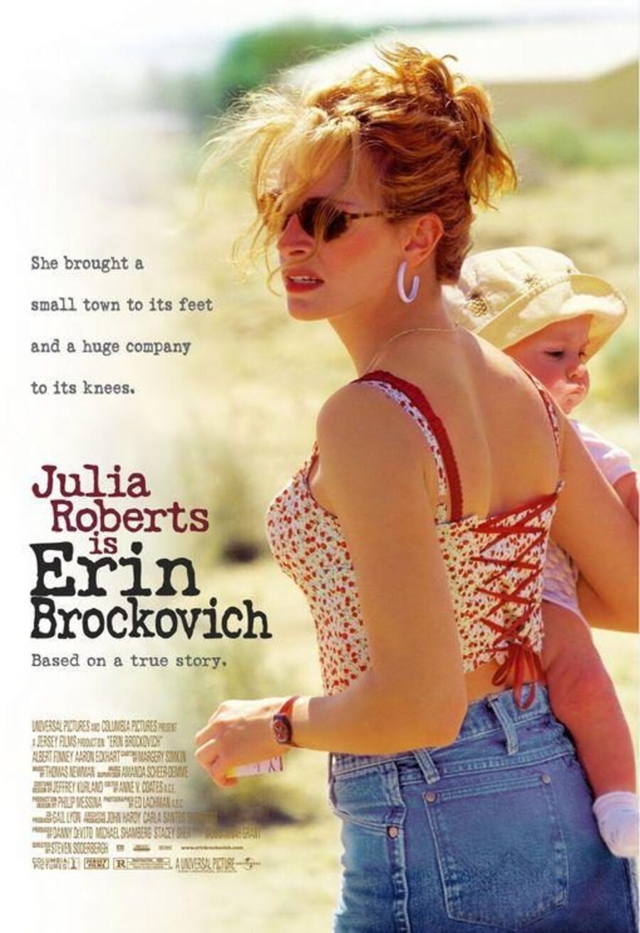 Cartel de Erin Brockovich - EEUU