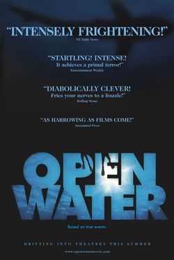Cartel de Open Water