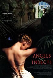 Ángeles & insectos