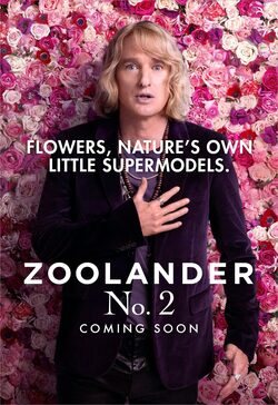 Owen Wilson San Valentín