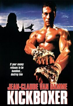 Cartel de Kickboxer