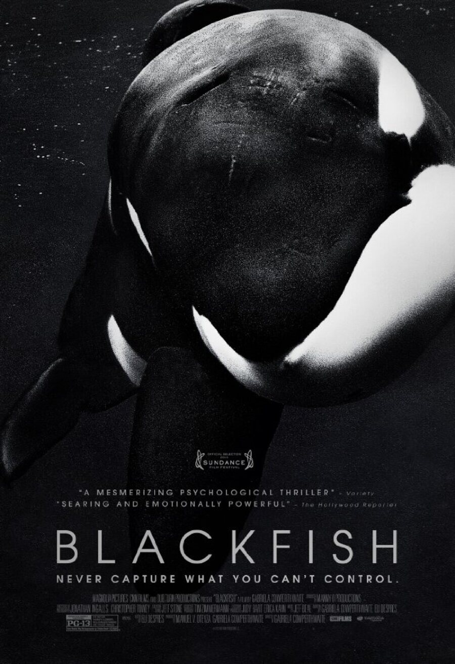 Cartel de Blackfish - EEUU