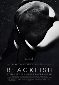 Cartel de Blackfish