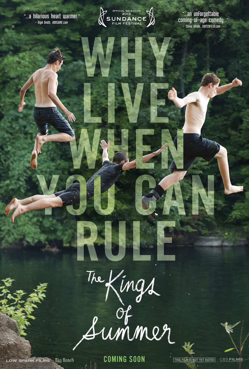 Cartel de The Kings of Summer - EEUU