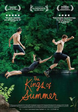 Cartel de The Kings of Summer