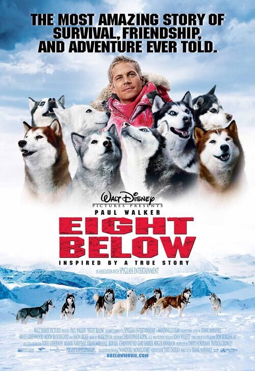 Ver Pelicula Eight Below En Español Bajo cero (2006) - Película eCartelera